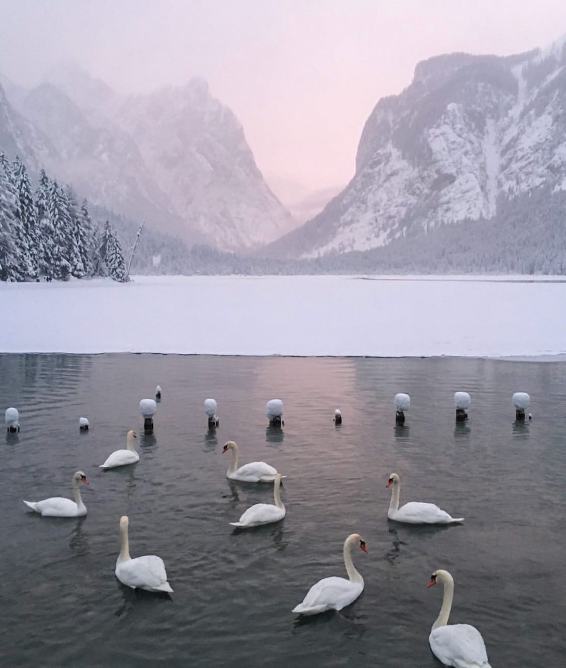 trentino alto adige in inverno - Lago di dobbiaco