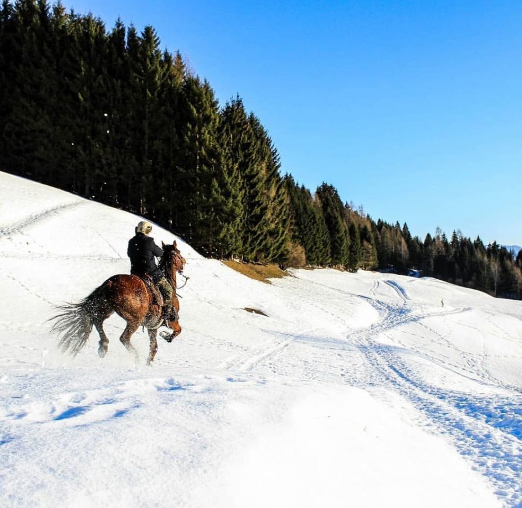 confronto estate inverno-rumo in inverno