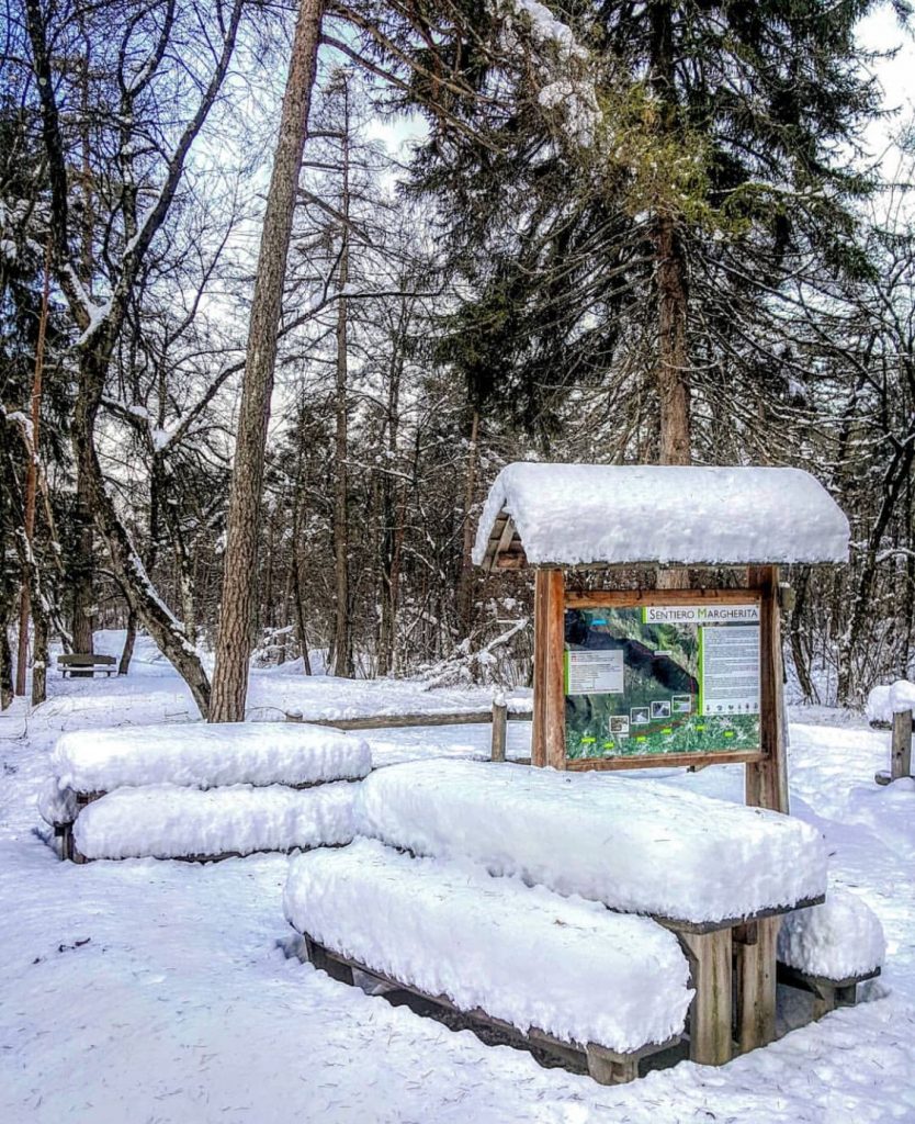 passeggiate in Val di Non con la neve-sentiero margherita