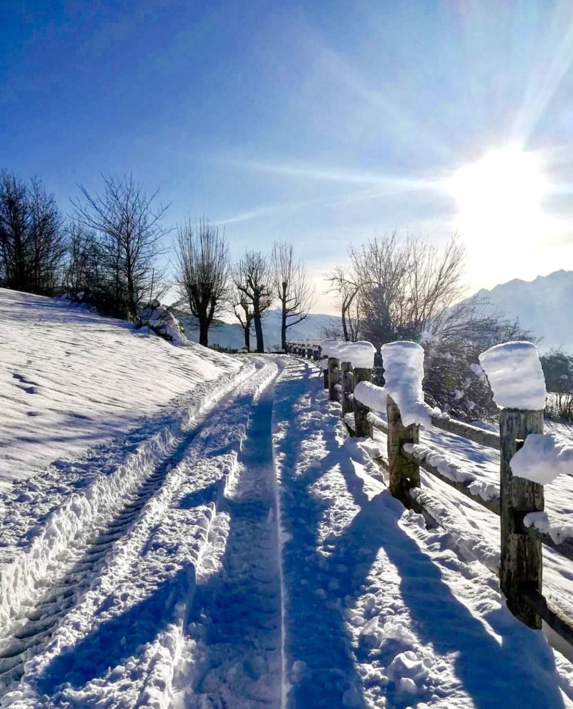 passeggiate in inverno sfruz val di non