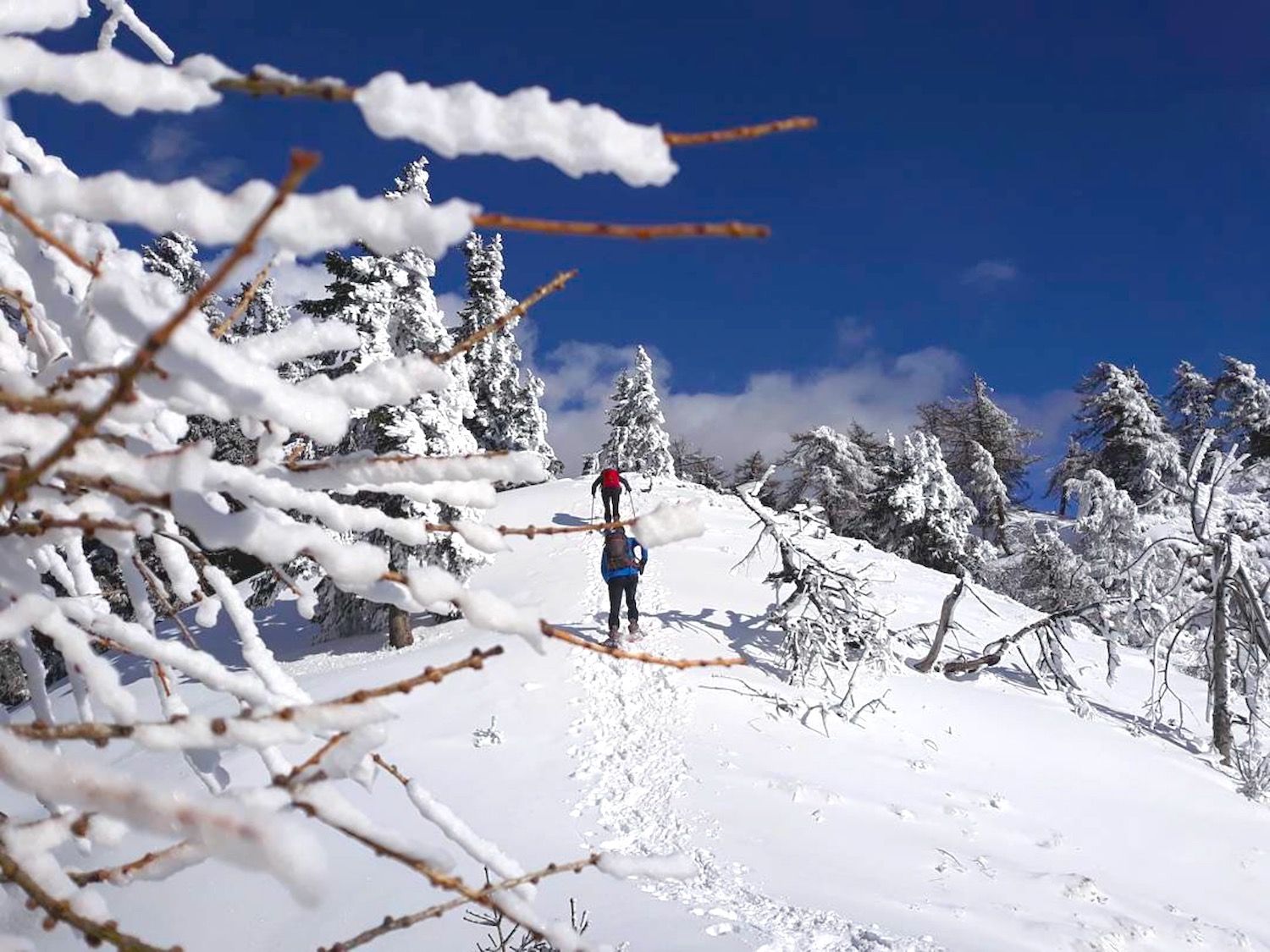 corno di tres in inverno-ciaspole