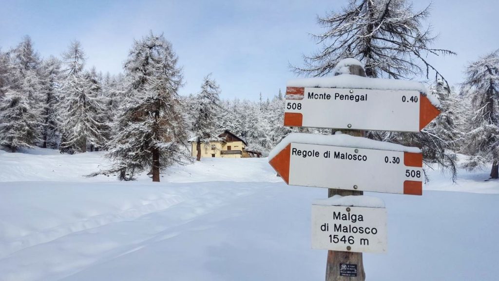 regole di malosco-monte penegal-inverno