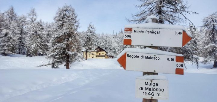 regole di malosco-monte penegal-inverno