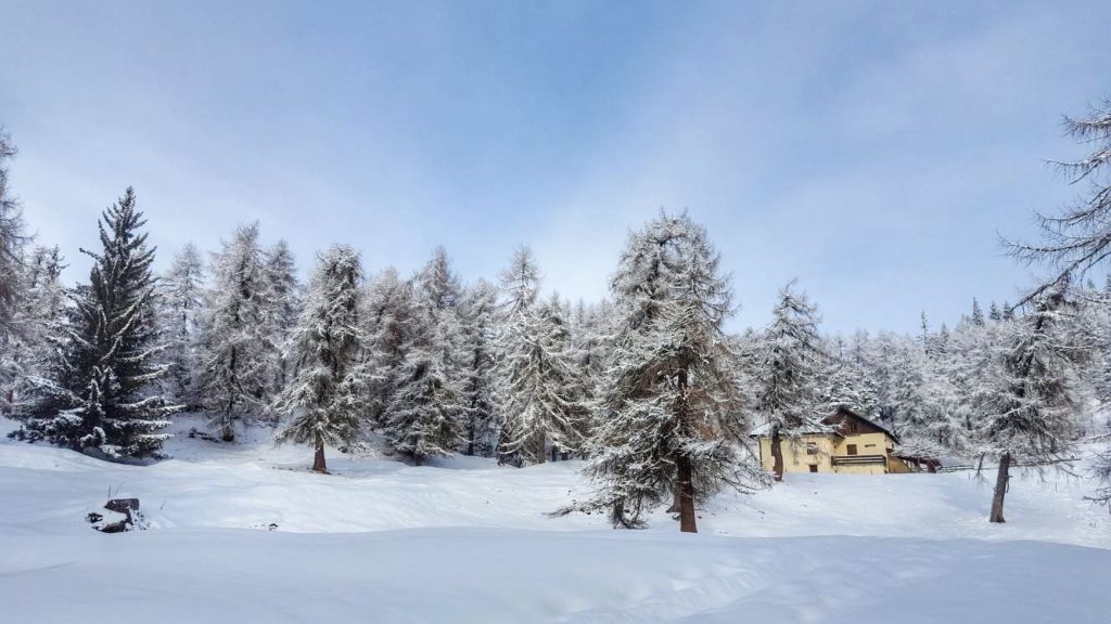 regole di malosco-monte penegal-malga di malosco