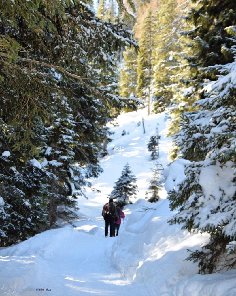 camminate nella neve val di non