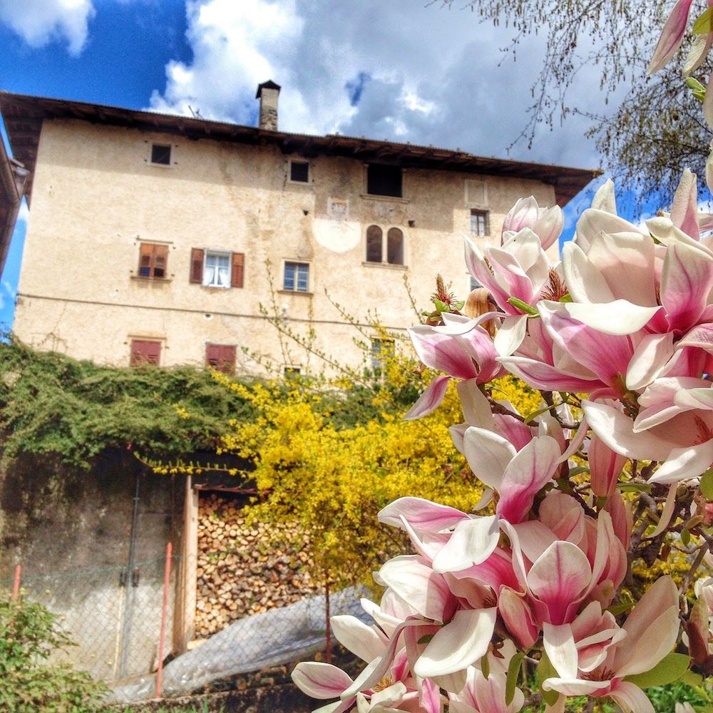 primavera in val di non-arsio-ilovevaldinon