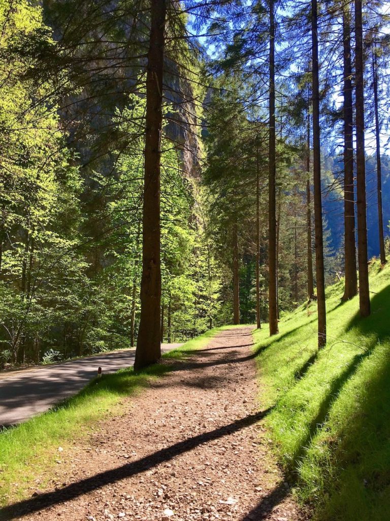 itinerari a piedi-san romedio-val di non