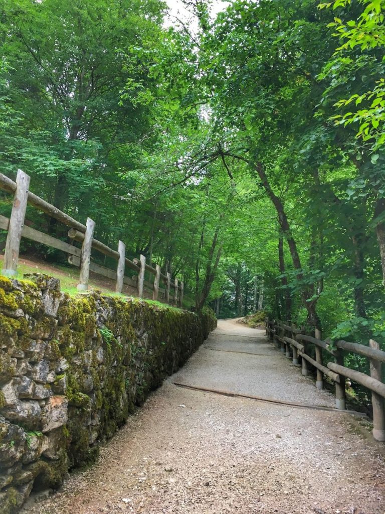 itinerari-a piedi a san romedio-val di non