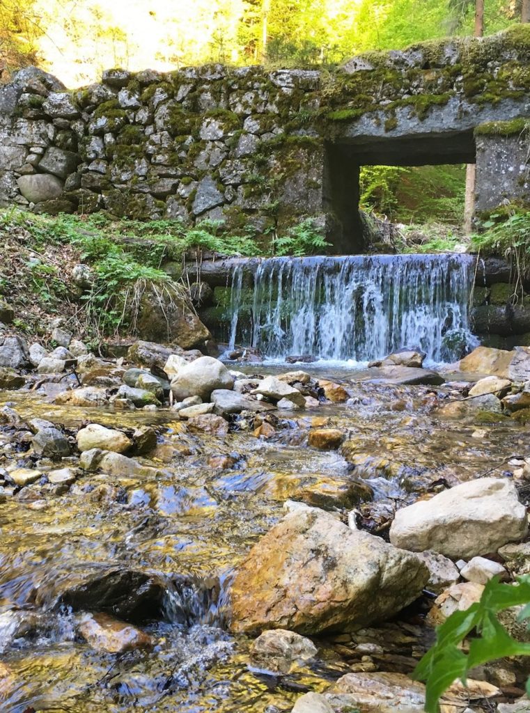 torrente vallavena-primavera in val di non-acqua che scorre