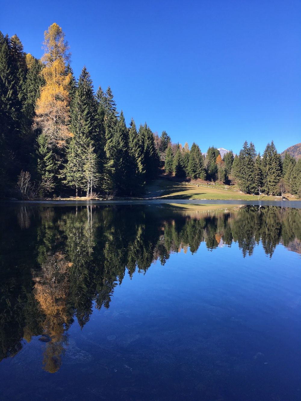 lago-dei-caprioli in autunno