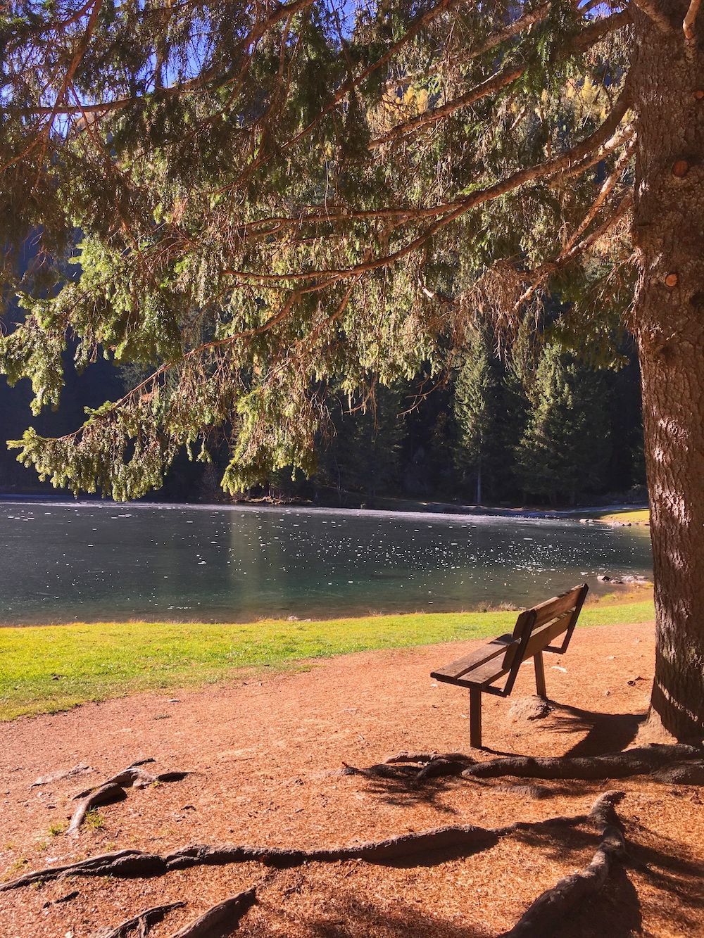 lago-dei-caprioli in autunno