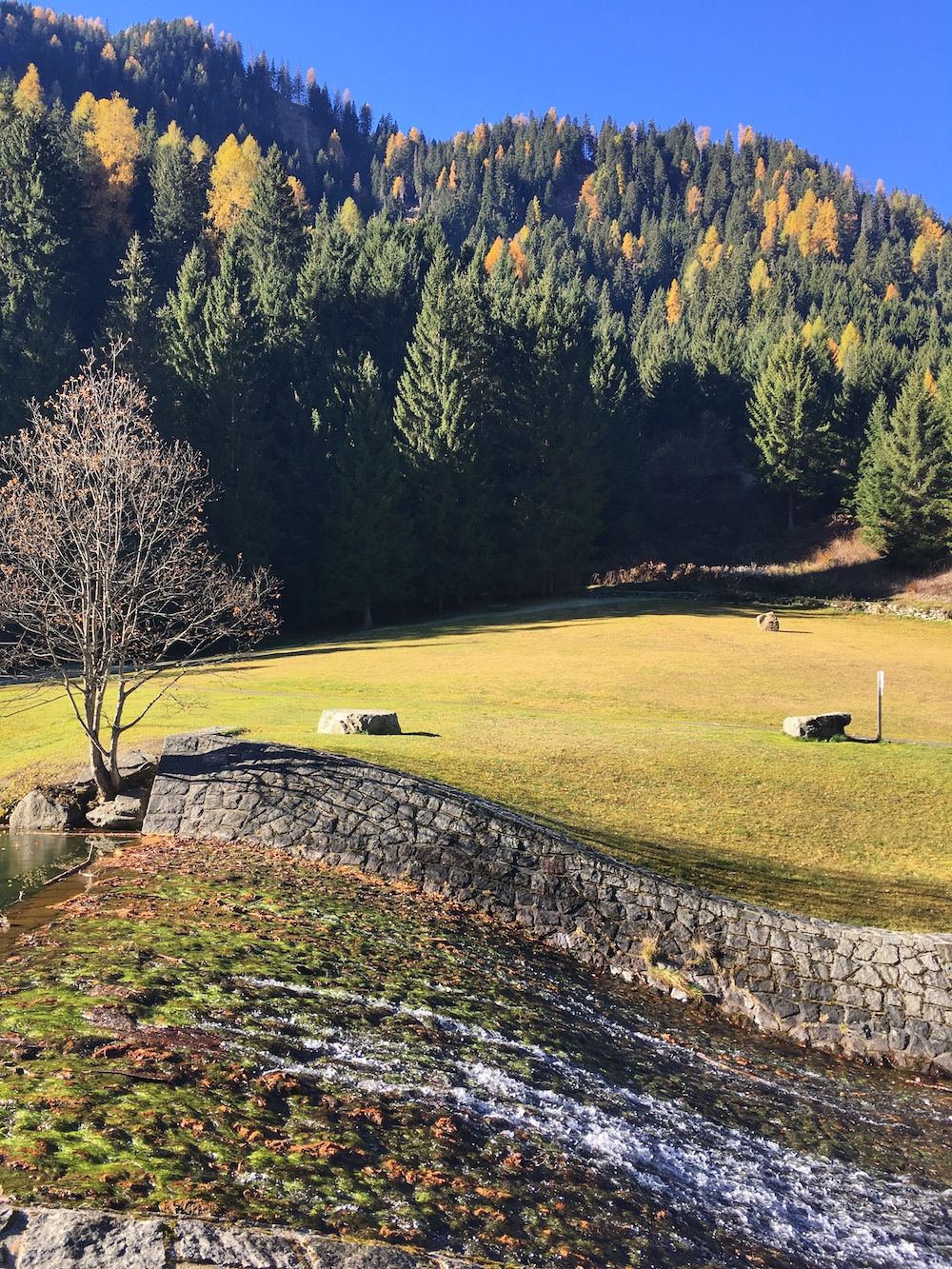 lago-dei-caprioli in autunno