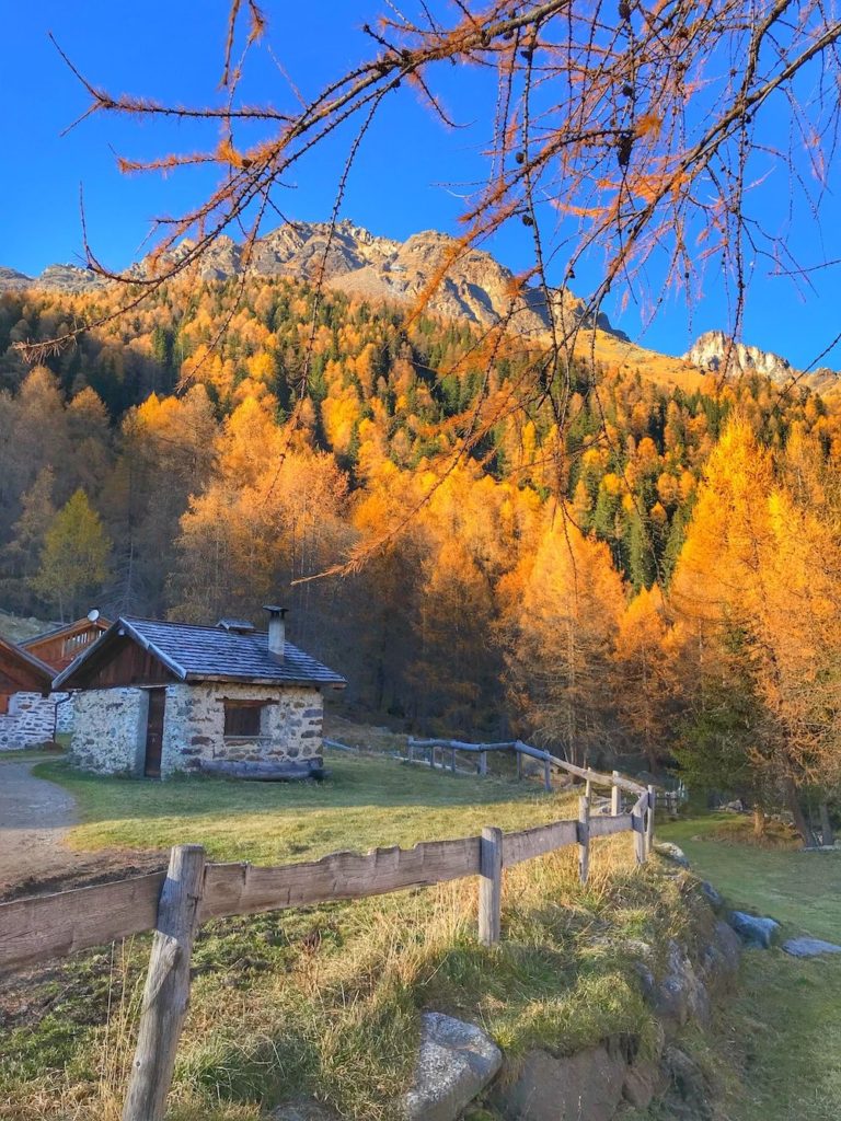 malga covel-autunno