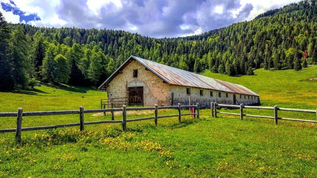 malga arza-giro delle malghe nel brenta in val di non