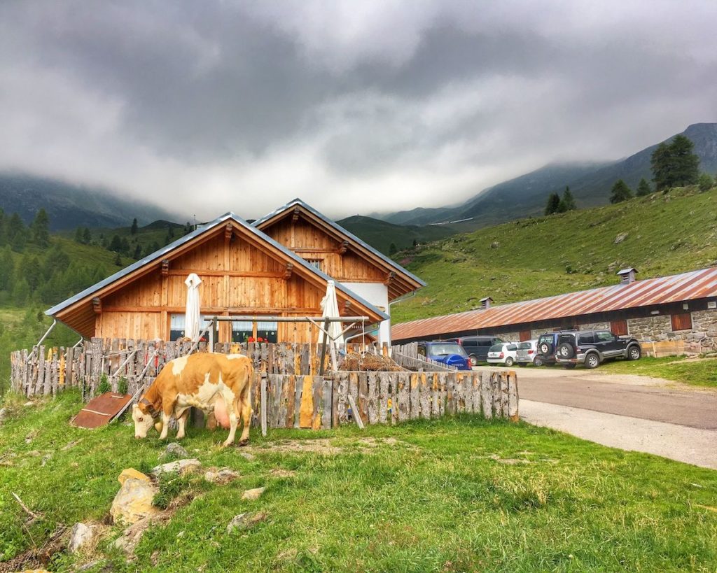 val di bresimo-malga bordolona