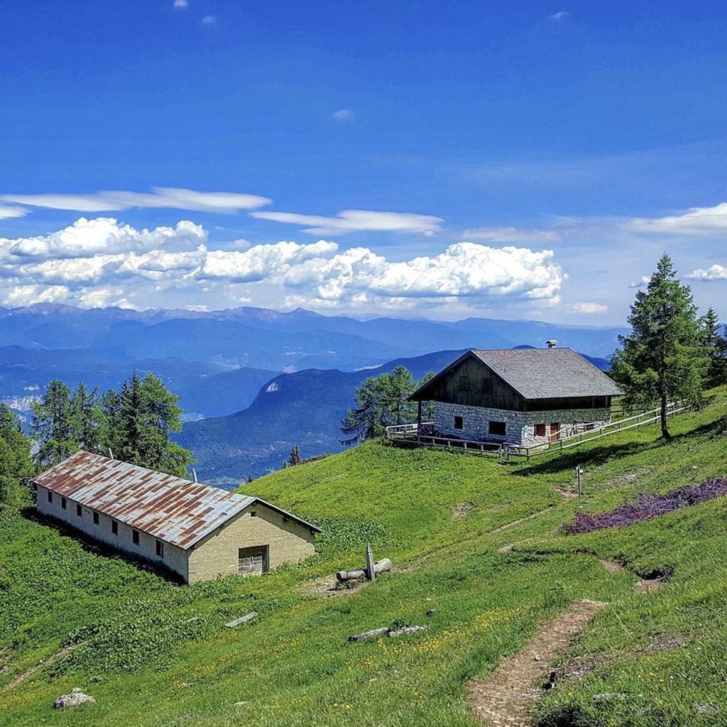 malga loverdina-giro delle malghe nel brenta in val di non