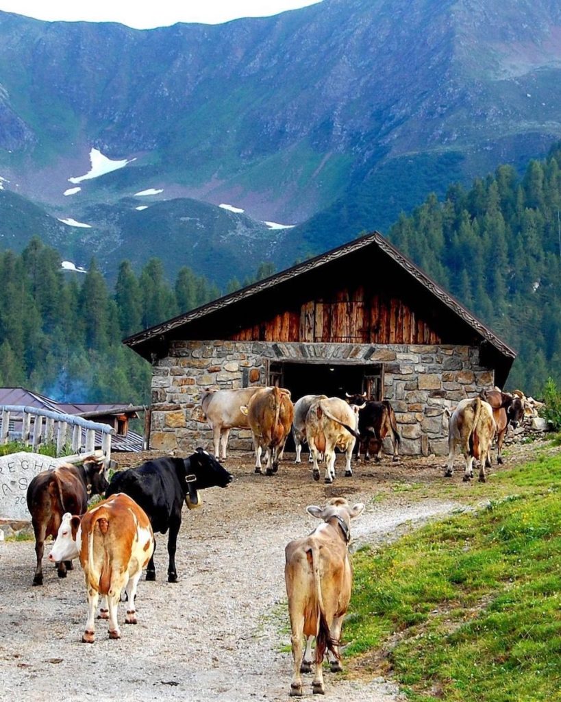 malga preghena-val di bresimo