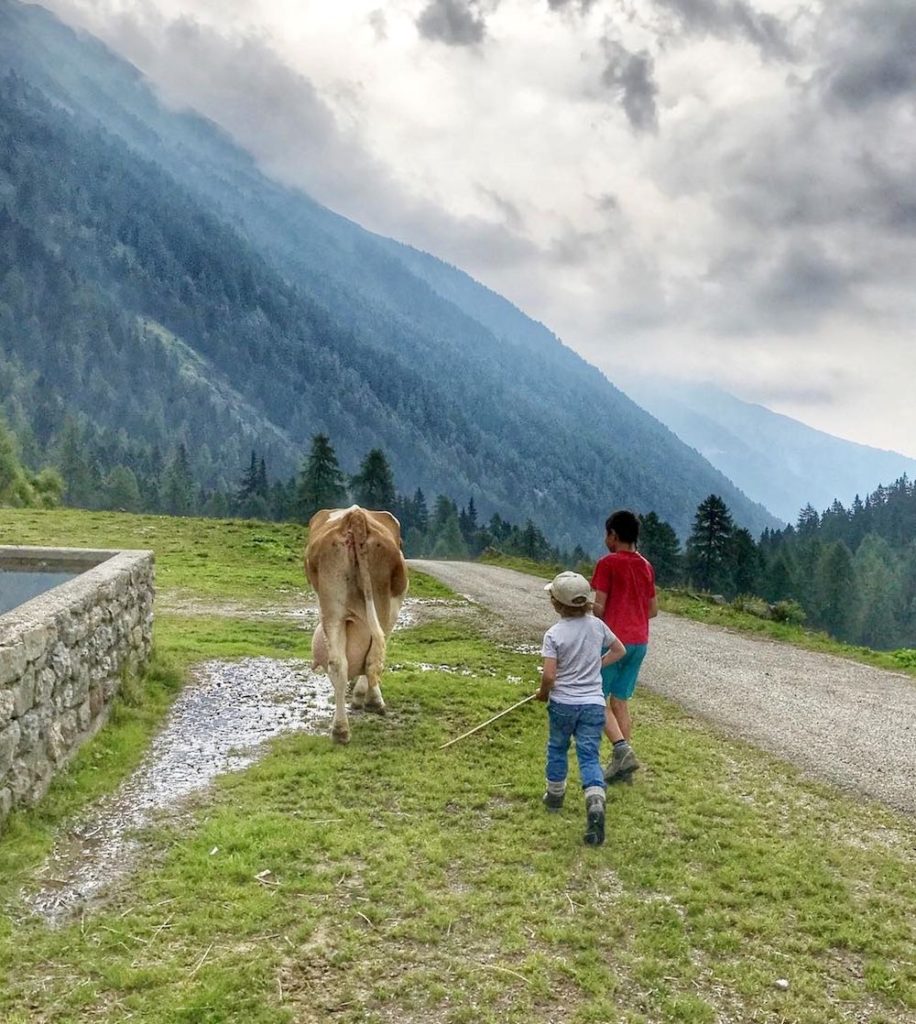 val di bresimo-malga bordolona