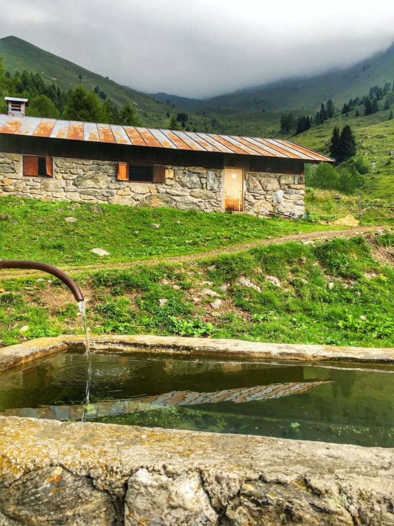 val di bresimo-malga bordolona