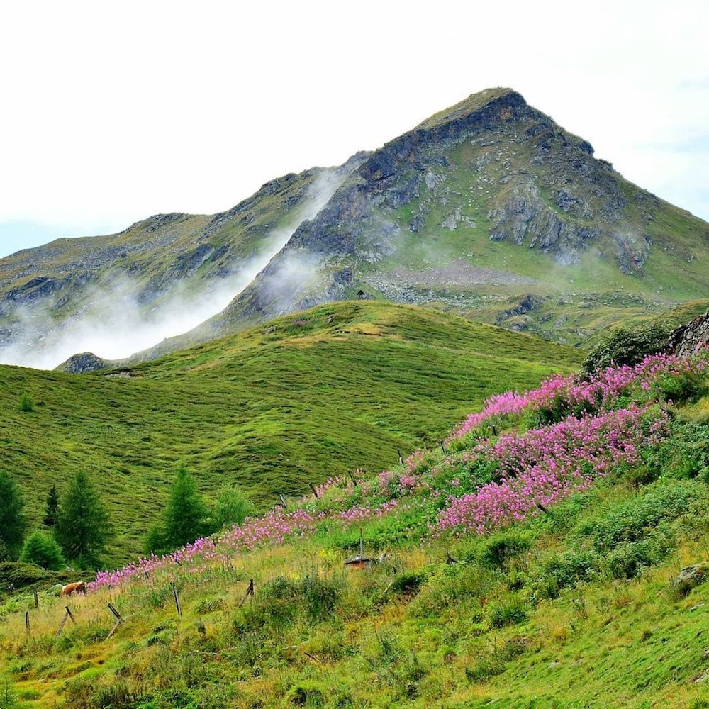 val di bresimo-malga bordolona