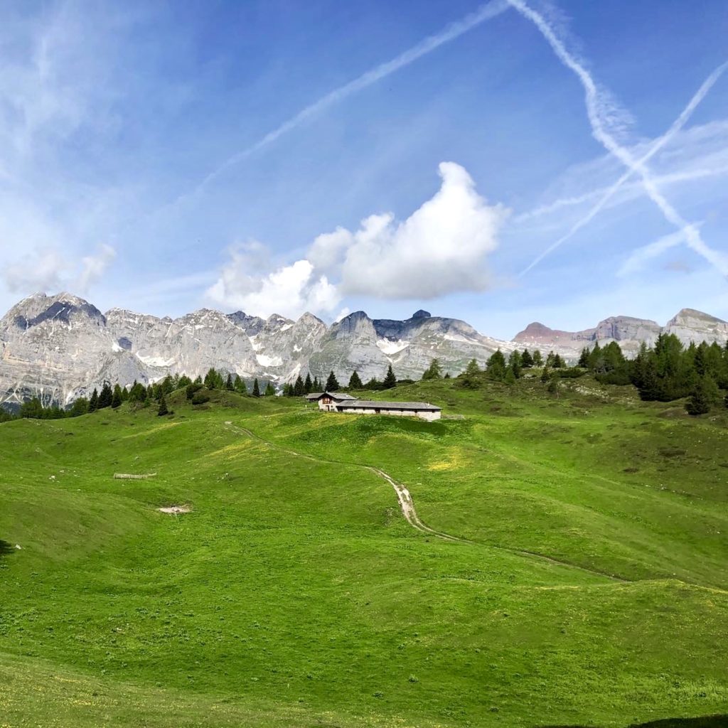 malga termoncello-giro delle malghe nel brenta in val di non