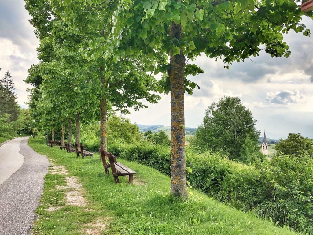 passeggiata sedruna-malosco-fondo