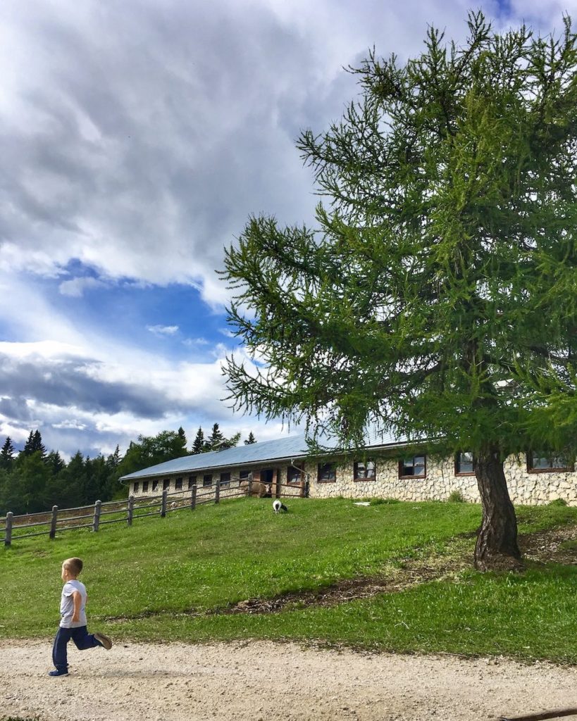 malga-di-coredo-passeggiate in passeggino