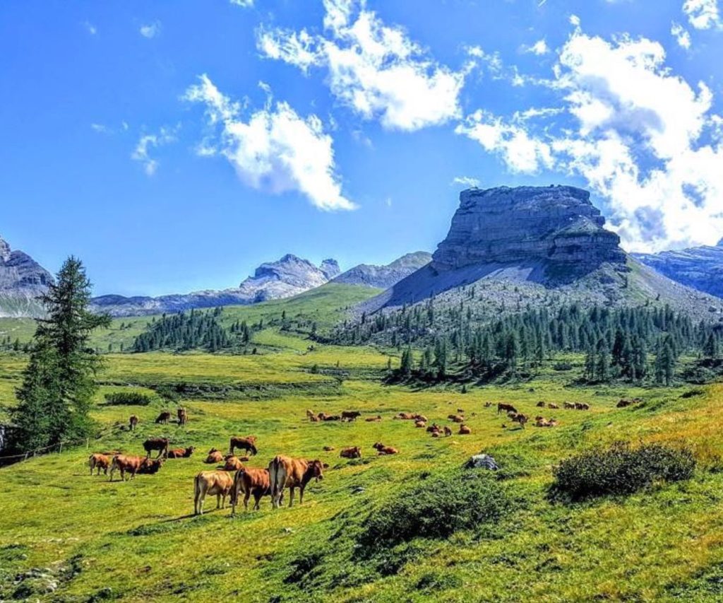 campo flavona e turrion basso