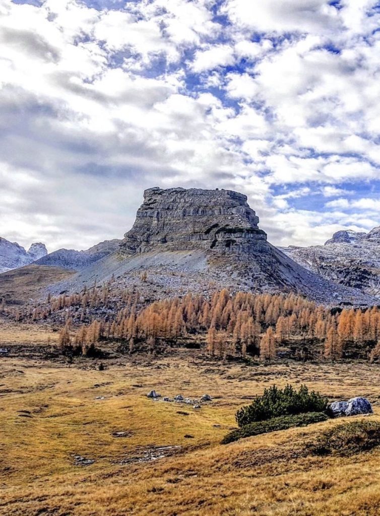 turrion basso-autunno