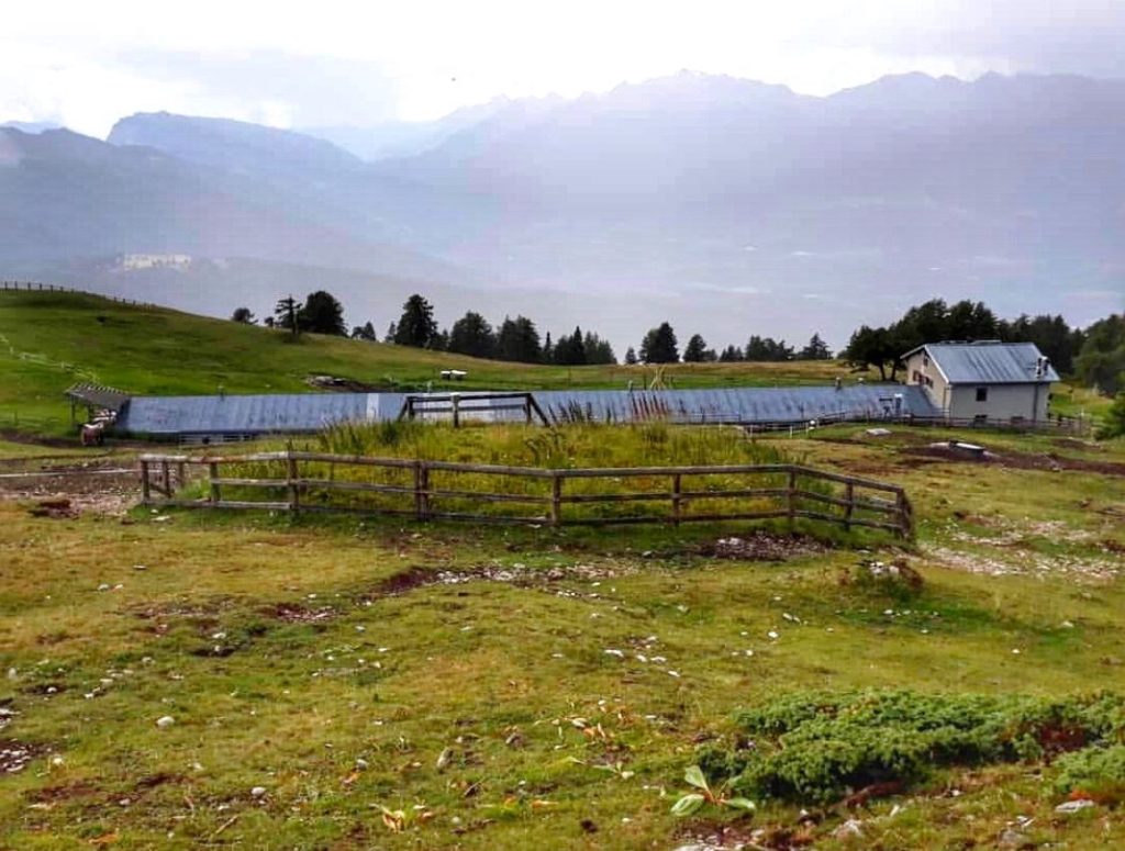 giro delle malghe sul monte roen