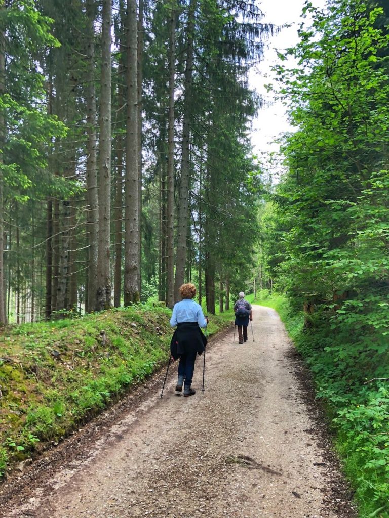 passeggiata delle baite-da ruffre alle regole di malosco