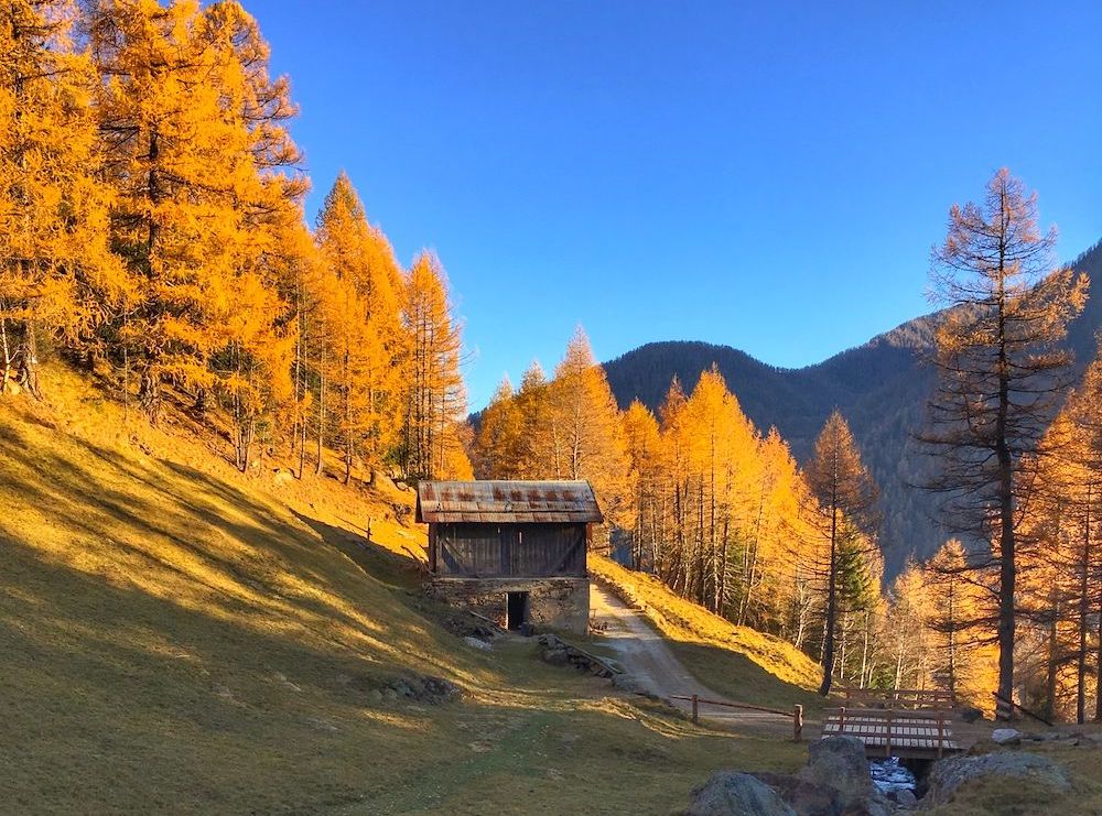 autunno val di sole