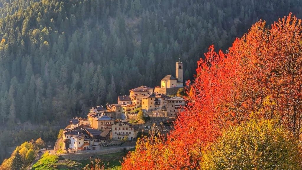 foliage in val di sole