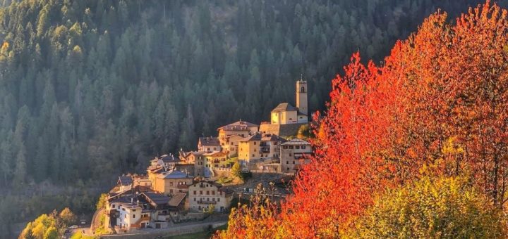 foliage in val di sole