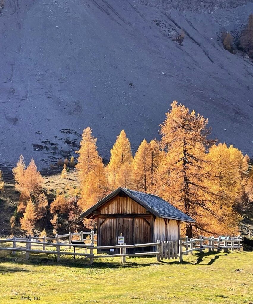 monte peller autunno