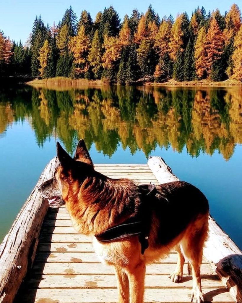 passeggiate d autunno in val di non-lago di tret