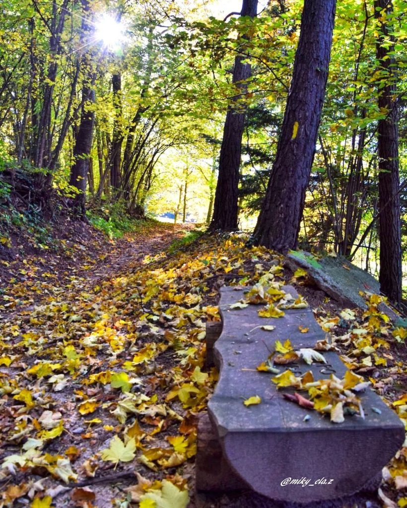 passeggiate d autunno in val di non-òez di dambel