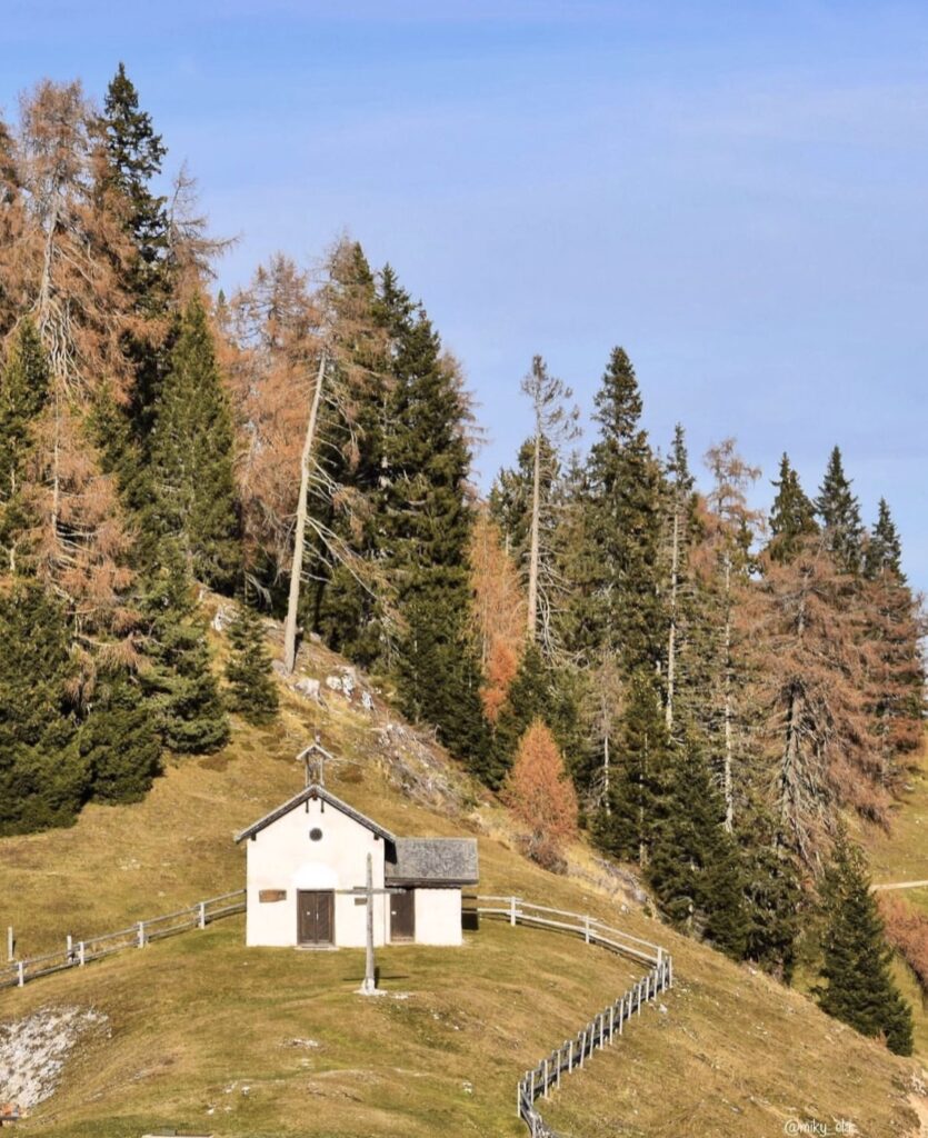 malga di romeno-monte roen in autunno