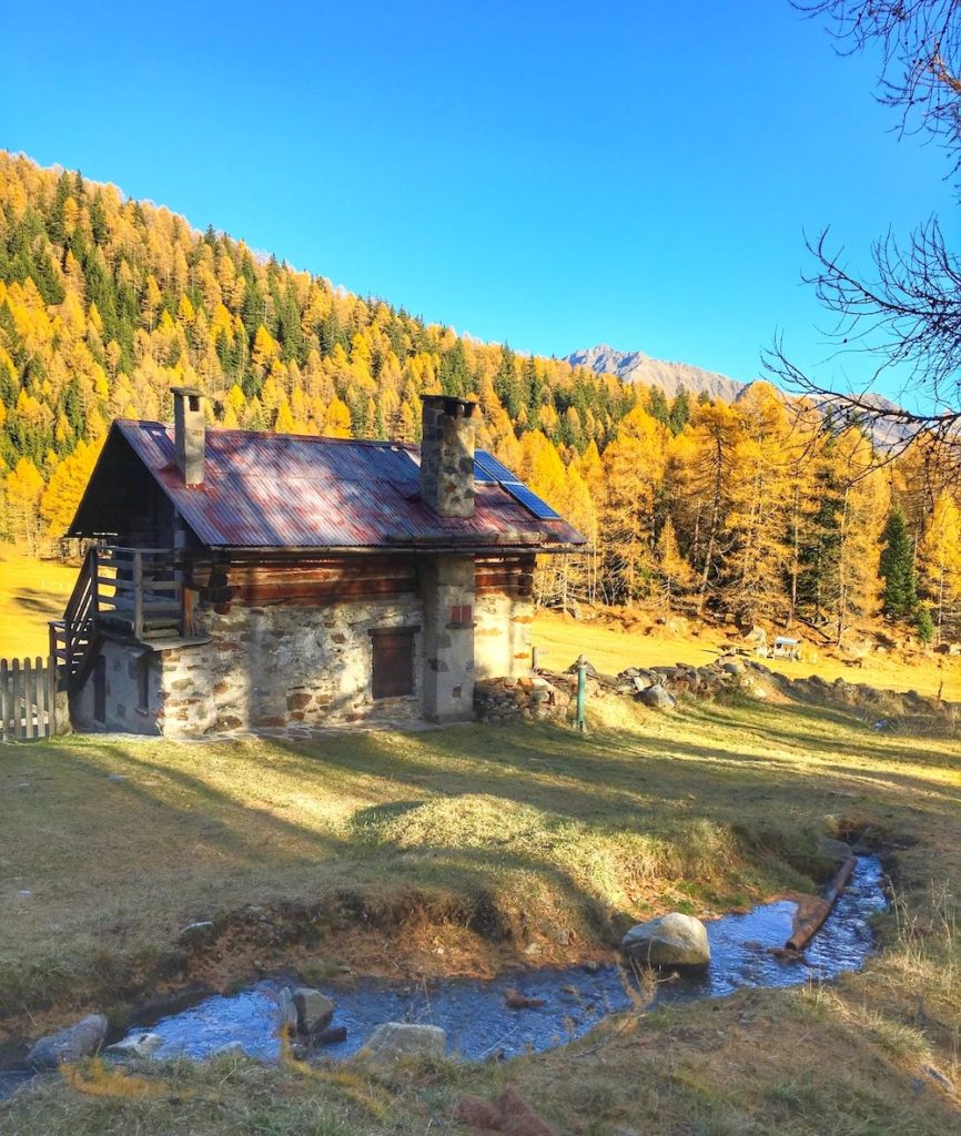 val di pejo-covel autunno