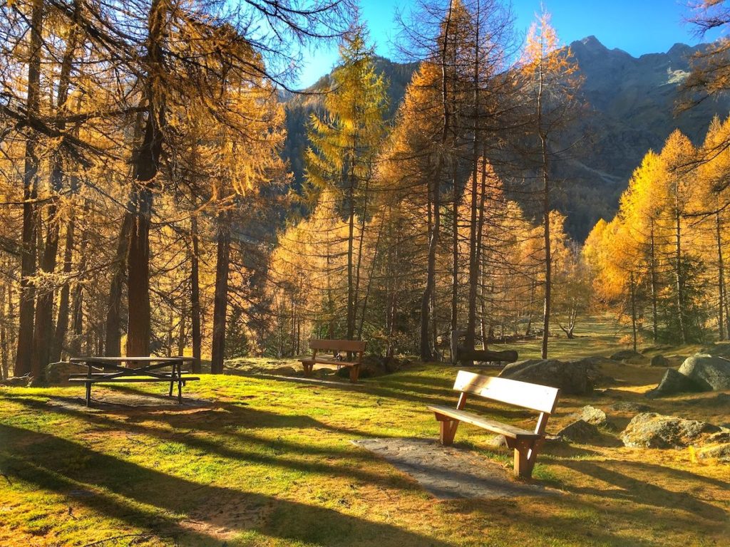 passeggiata a covel-pejo-autunno in val di sole