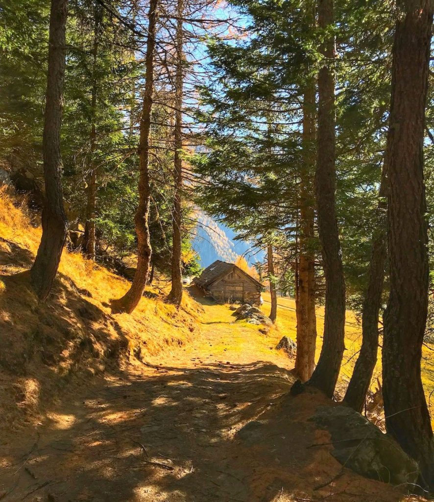 passeggiata a covel-pejo-autunno in val di sole