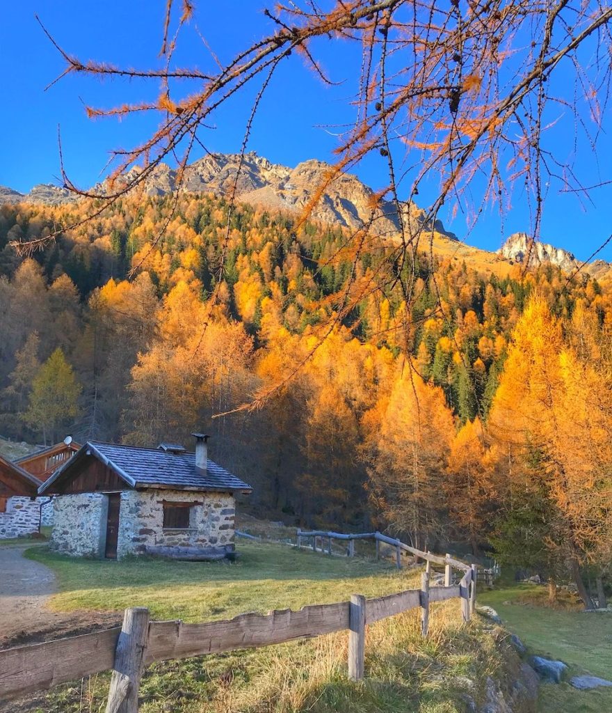 covel val di pejo autunno