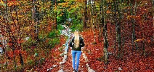passeggiate d autunno in val di non-sentiero delle glare