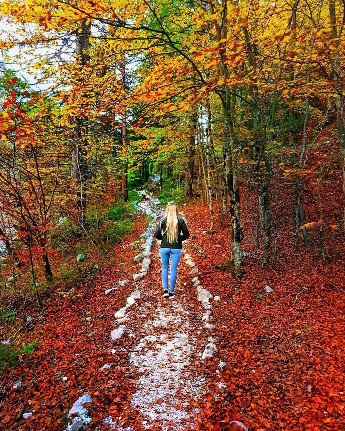 passeggiate d autunno in val di non-sentiero delle glare