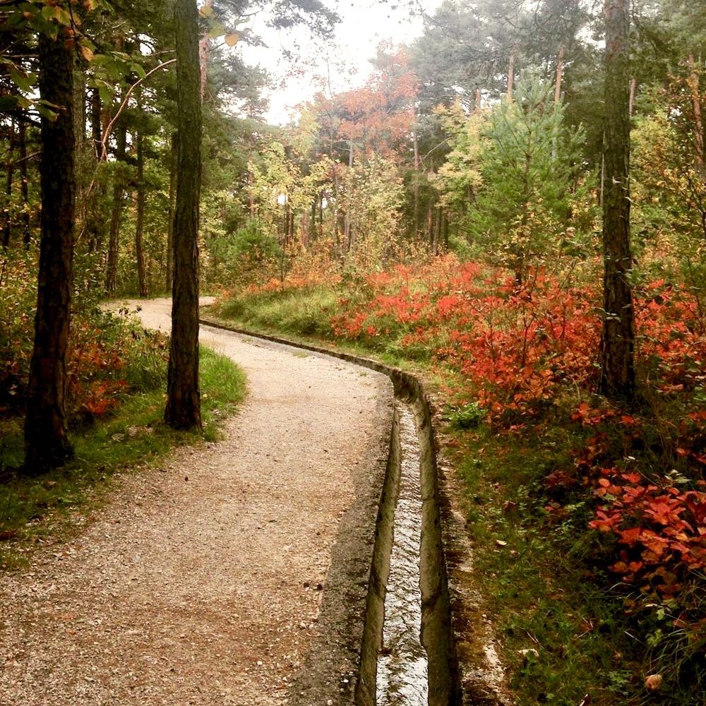 passeggiate d autunno in val di non-sentiero margherita