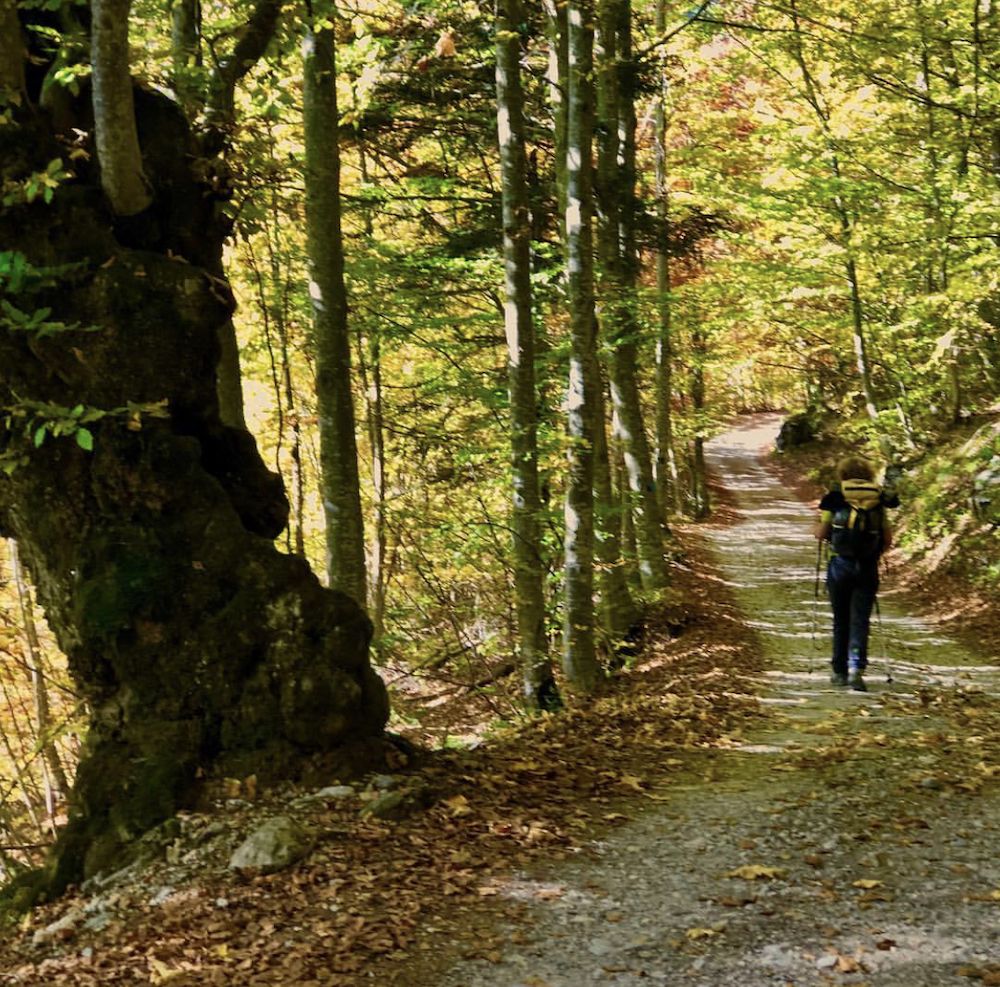 escursioni in Val di Non in autunno