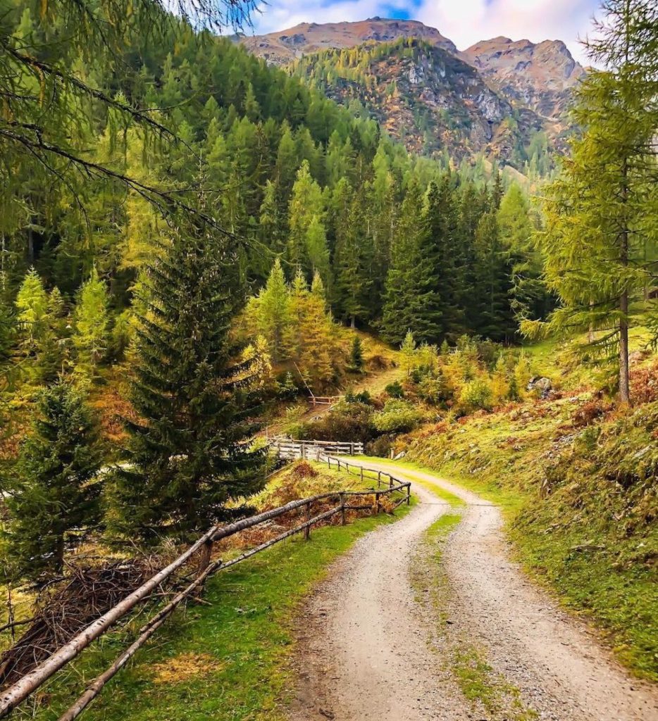 valli del trentino in autunno-val di rabbi