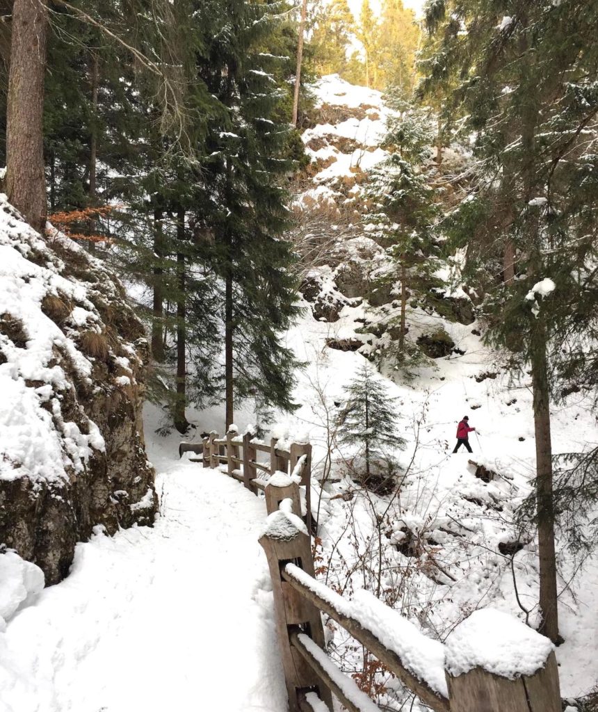 dria al fos in inverno-da cavareno a ruffré