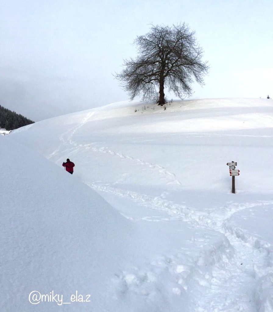 dria al fos in inverno-da cavareno a ruffré