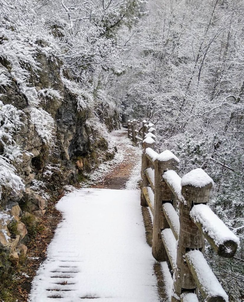 dria al fos in inverno-da cavareno a ruffré